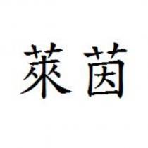 萊茵