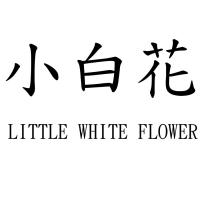 小白花 LITTLE WHITE FLOWER