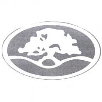 寶松股份有限公司標章