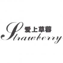 Strawberry 愛上草莓設計體