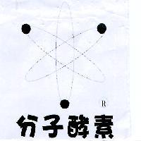 分子酵素及圖