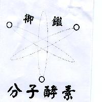 御鑑 分子酵素及圖