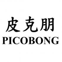 皮克朋 PICOBONG