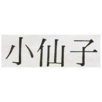 小仙子
