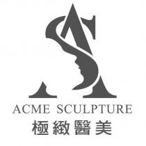 極緻醫美 ACME SCULPTURE 及圖