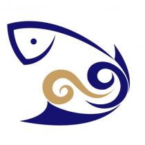 魚躍海浪設計圖