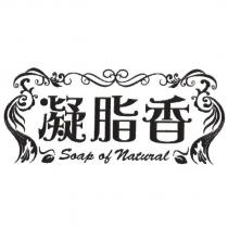 凝脂香 Soap of Natural 及圖