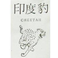印度豹及圖 CHEETAH