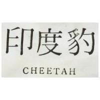 印度豹 CHEETAH 