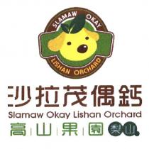 沙拉茂偶鈣 Slamaw Okay Lishan Orchard 高山果園梨山及圖