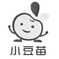 小豆苗及圖