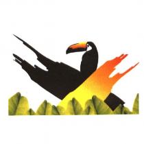 鳥圖