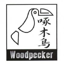 啄木鳥 Woodpecker 及圖