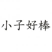 小子好棒