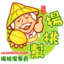 楊桃幫 carambola team 及圖