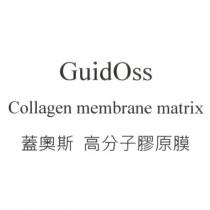 GuidOss Collagen membrane matrix 蓋奧斯 高分子膠原膜