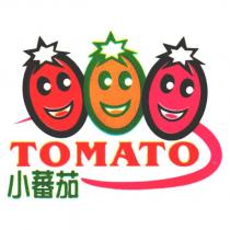 小蕃茄 TOMATO 及圖