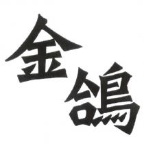 金鴿
