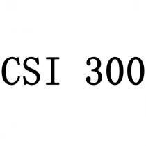 CSI 300