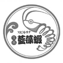 生態藍藻蝦及圖