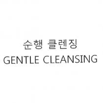 GENTLE CLEANSING 及韓文設計圖