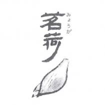 茗荷 みょうが 及圖