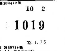 1019
