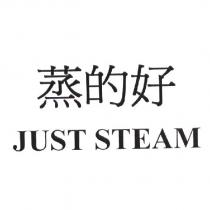 JUST STEAM 蒸的好