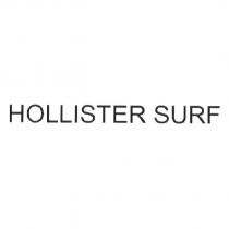 HOLLISTER SURF