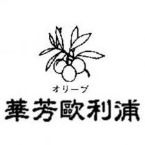 華芳歐利浦オリーブ及圖