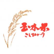 玉木米 こしひかり 及圖