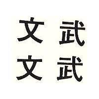 文武文武