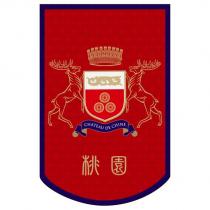 旗子圖案