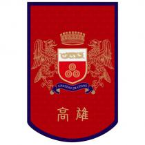 旗子圖案