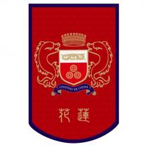 旗子圖案