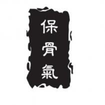 保骨氣設計圖