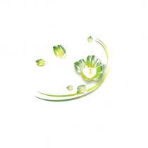 芙蓉花圖
