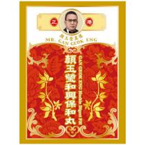 正港顏玉瑩真像 MR. GAN GEOK ENG 顏玉瑩和興保和丸 GAN GEOK ENG Hoehin Digest Pill 及圖