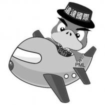 遠達國際 PML 及圖
