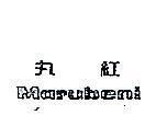 丸紅 MARUBENI 