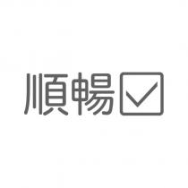 順暢及圖