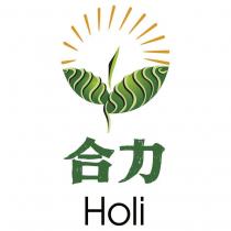 合力 Holi 及圖