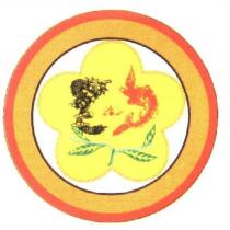 龍鳳搶珠茶葉梅花設計圖