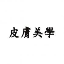 皮膚美學