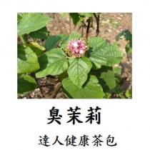 臭茉莉 達人健康茶包及圖