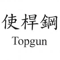 使桿鋼 Topgun
