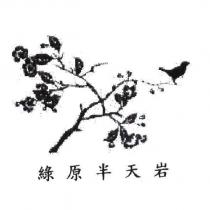 綠原半天岩及圖