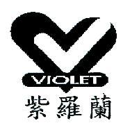 紫羅蘭 VIOLET 及圖
