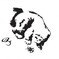 BJ 及圖
