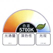 LED 燈泡易讀標示證明標章